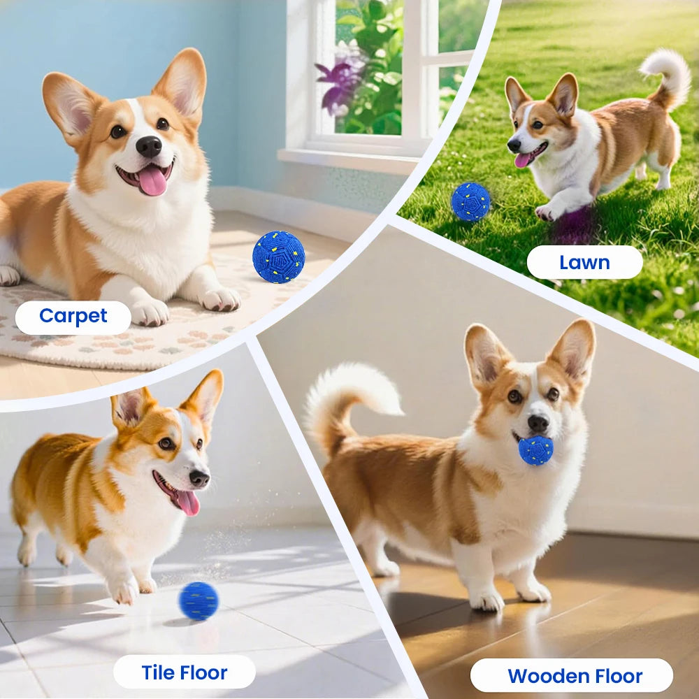 Smart Interactive Dog Ball
