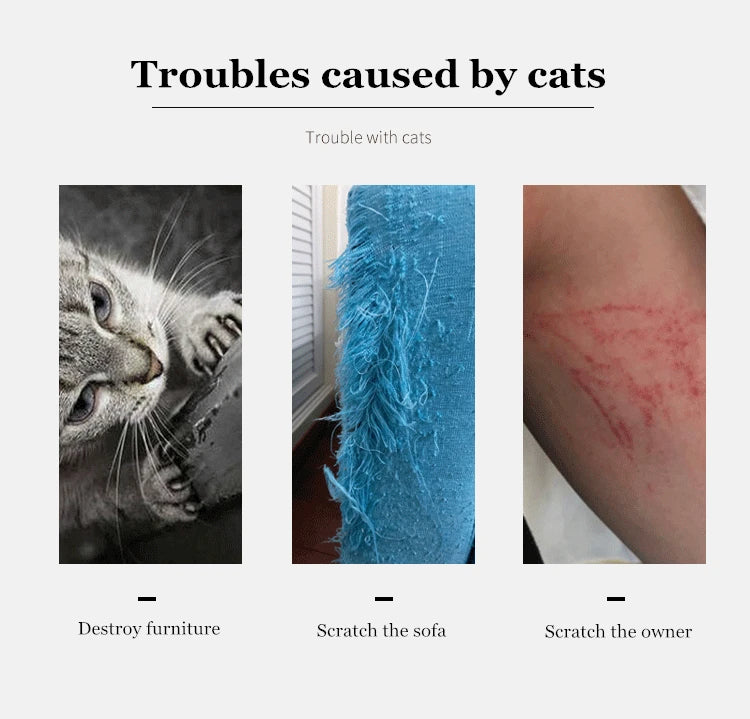 Cat Scratch Pad