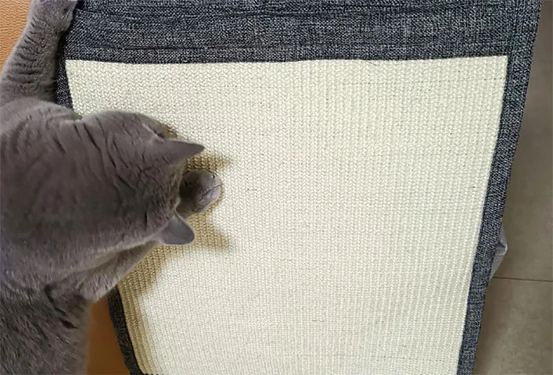 Cat Scratch Pad