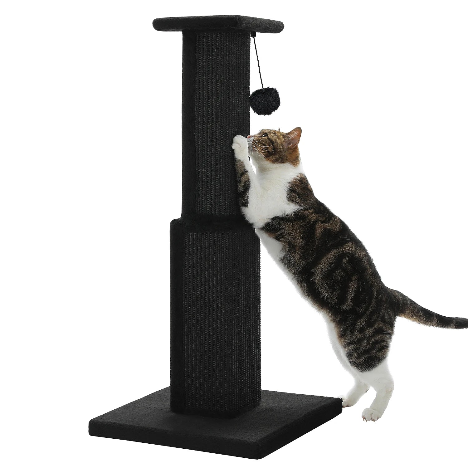Large Cat Scratching Post