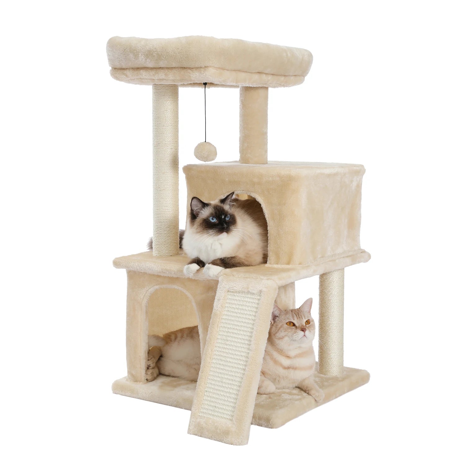 Large Multi-Level Cat Tree