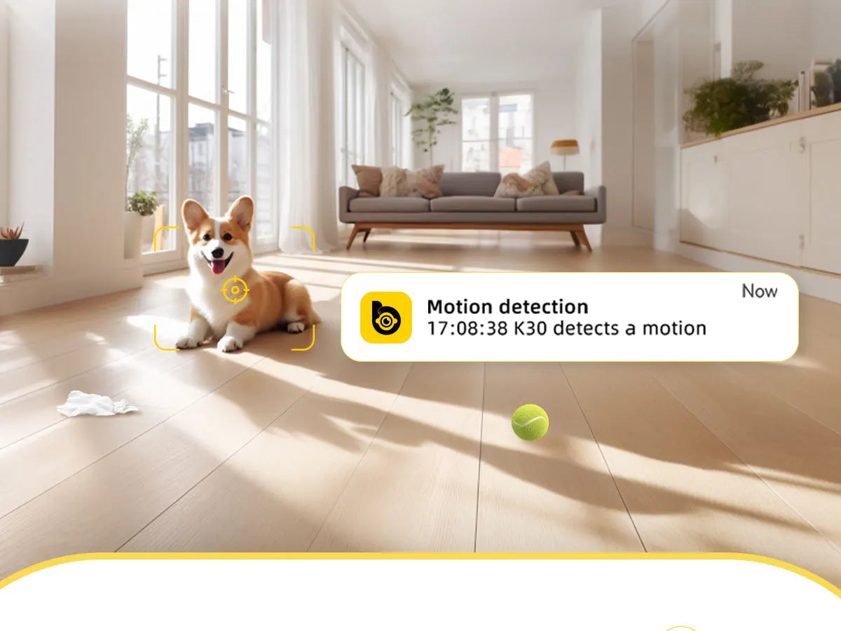 360 Degree Dog Camera With App