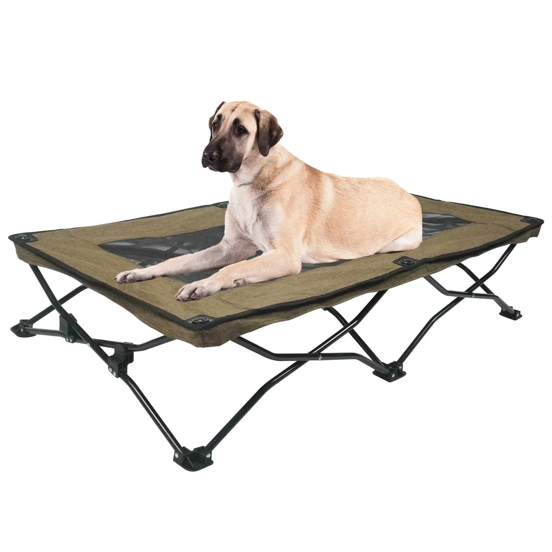 Foldable Outdoor Dog Bed