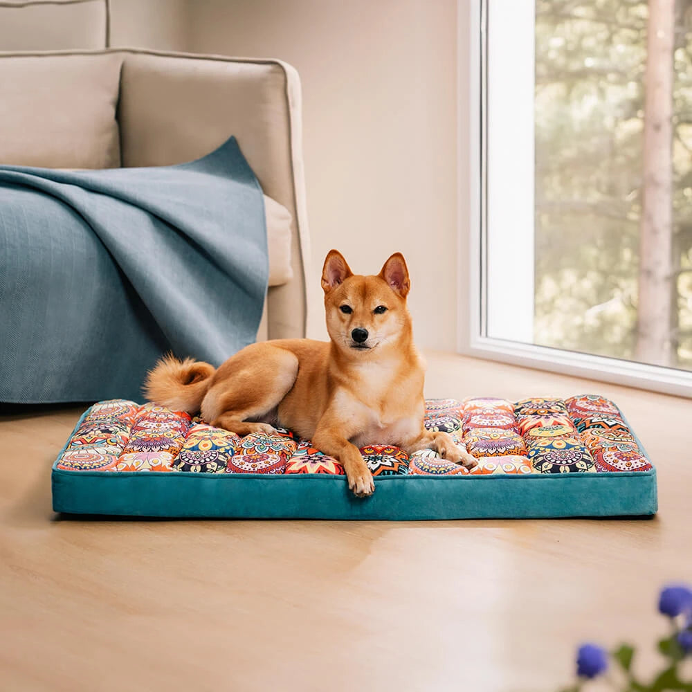 Orthopedic Dog Bed