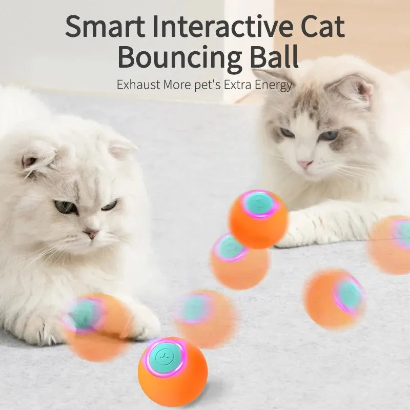 Electric Cat Ball toy