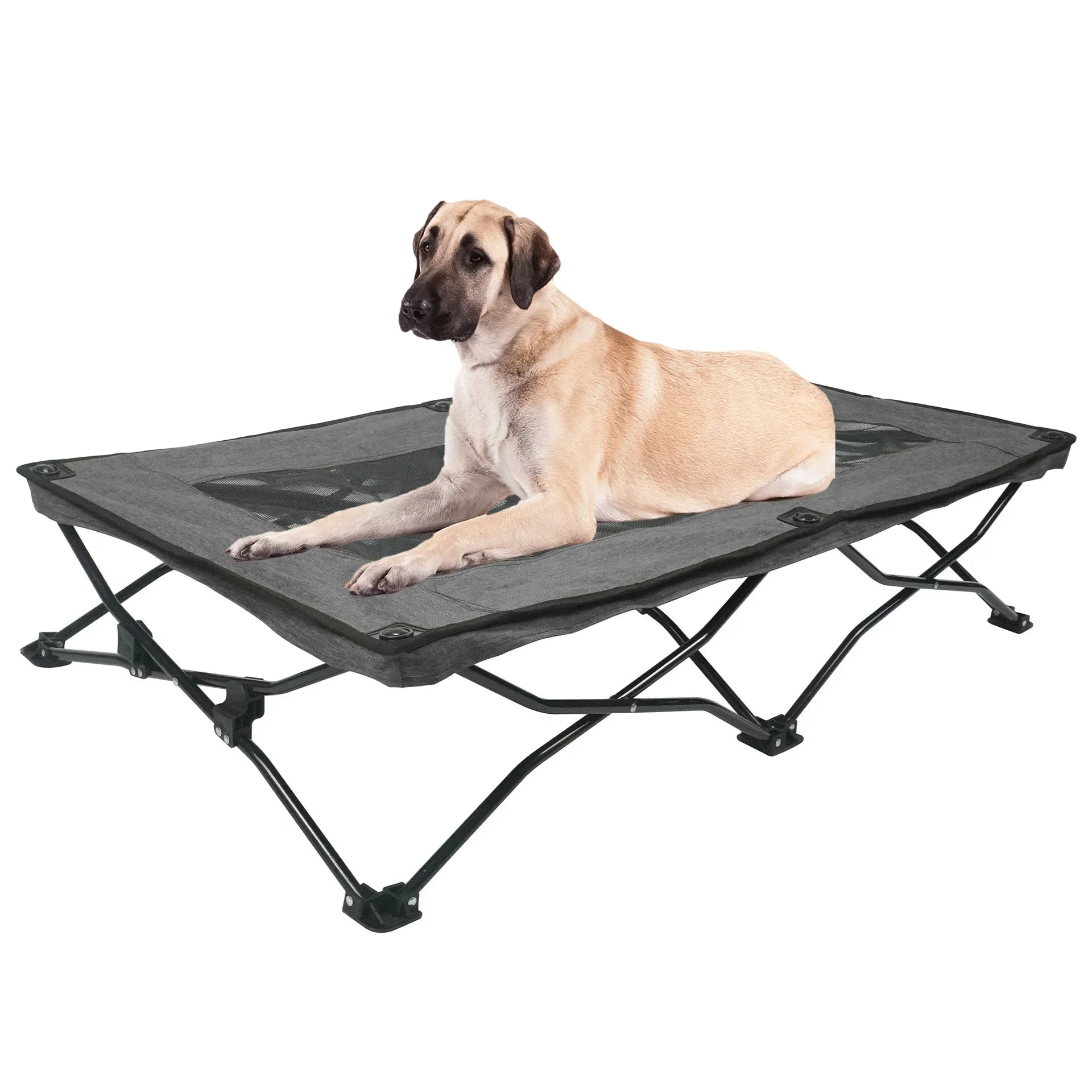 Foldable Outdoor Dog Bed