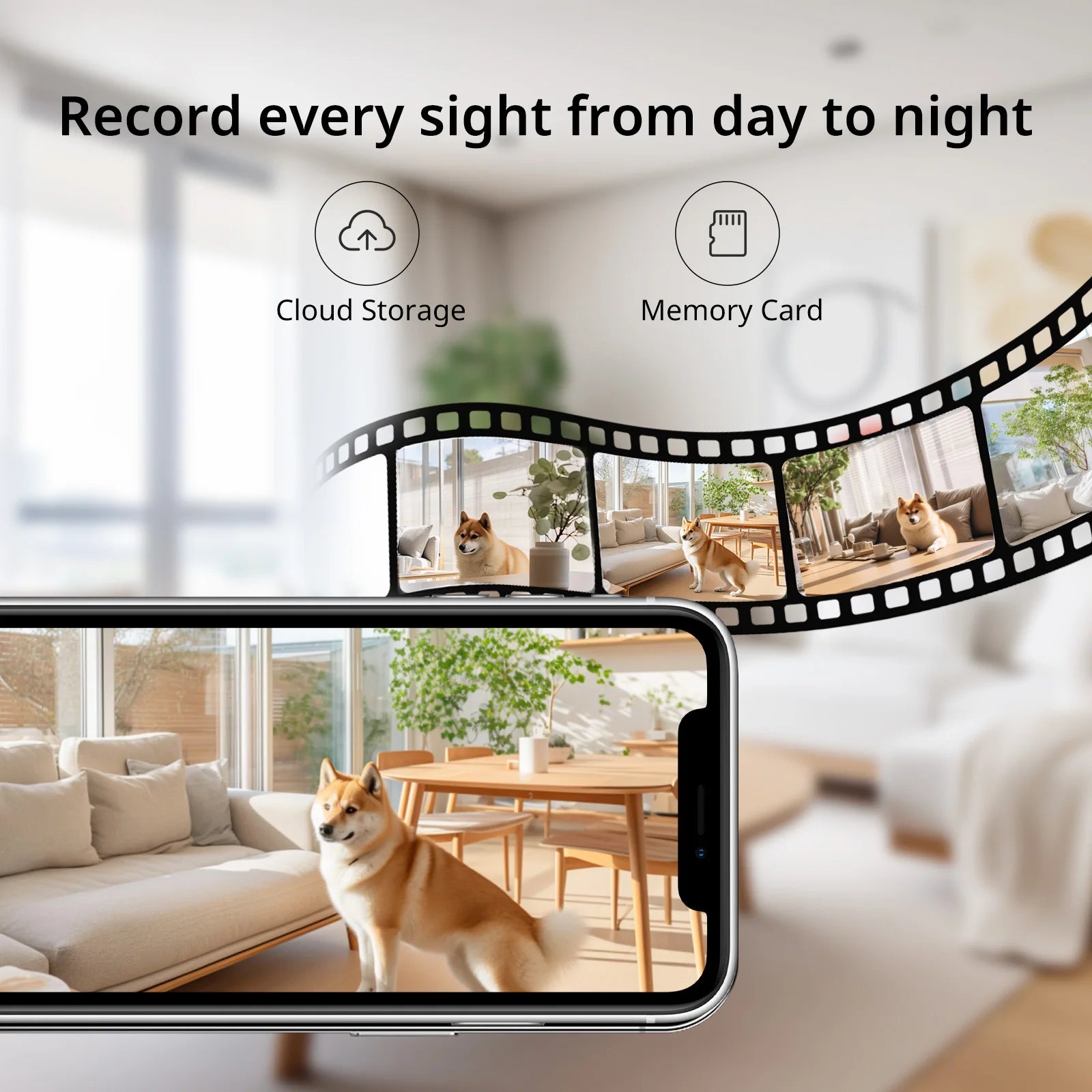 360 Degree Dog Camera With App
