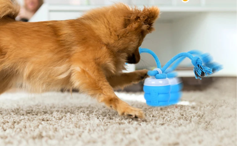 Interactive Dog Toy Ball with Rope
