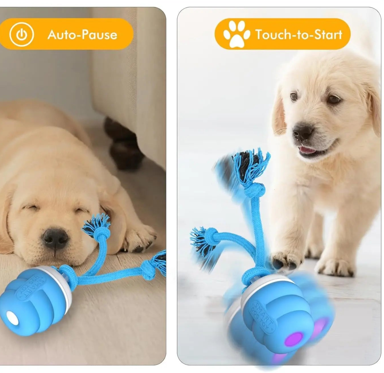 Interactive Dog Toy Ball with Rope