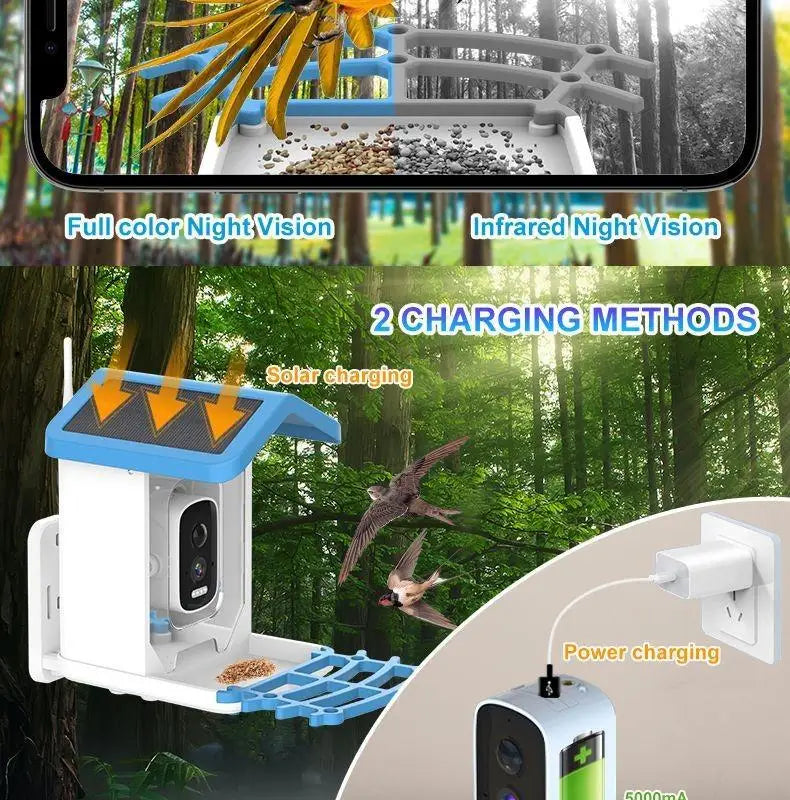 Outdoor Bird Feeder with camera