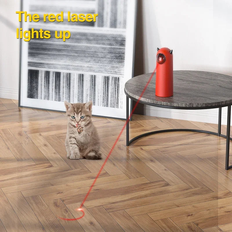Automatic Cat Laser