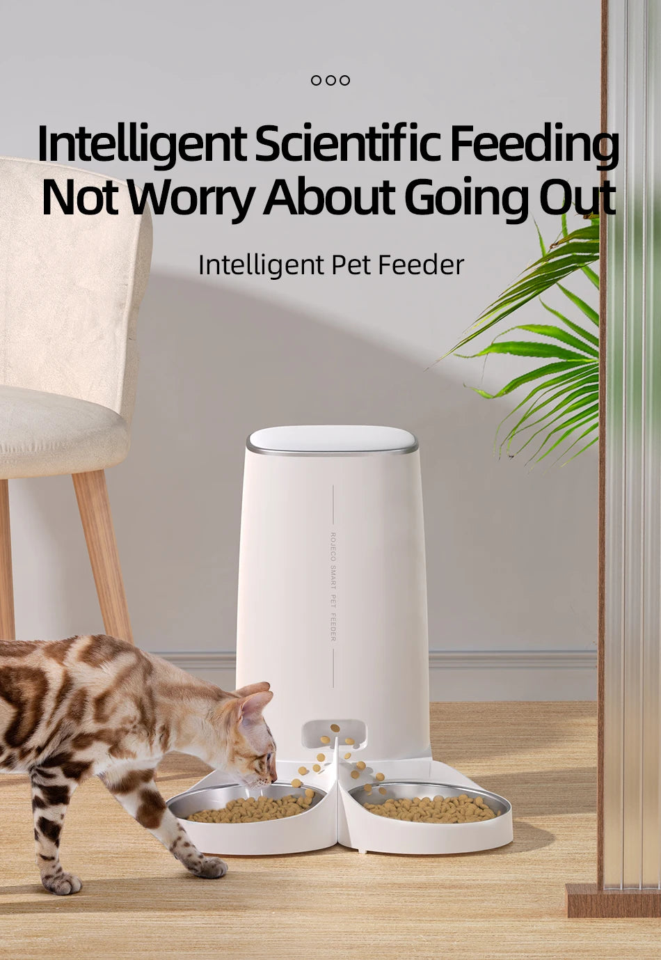 Automatic Pet Feeder
