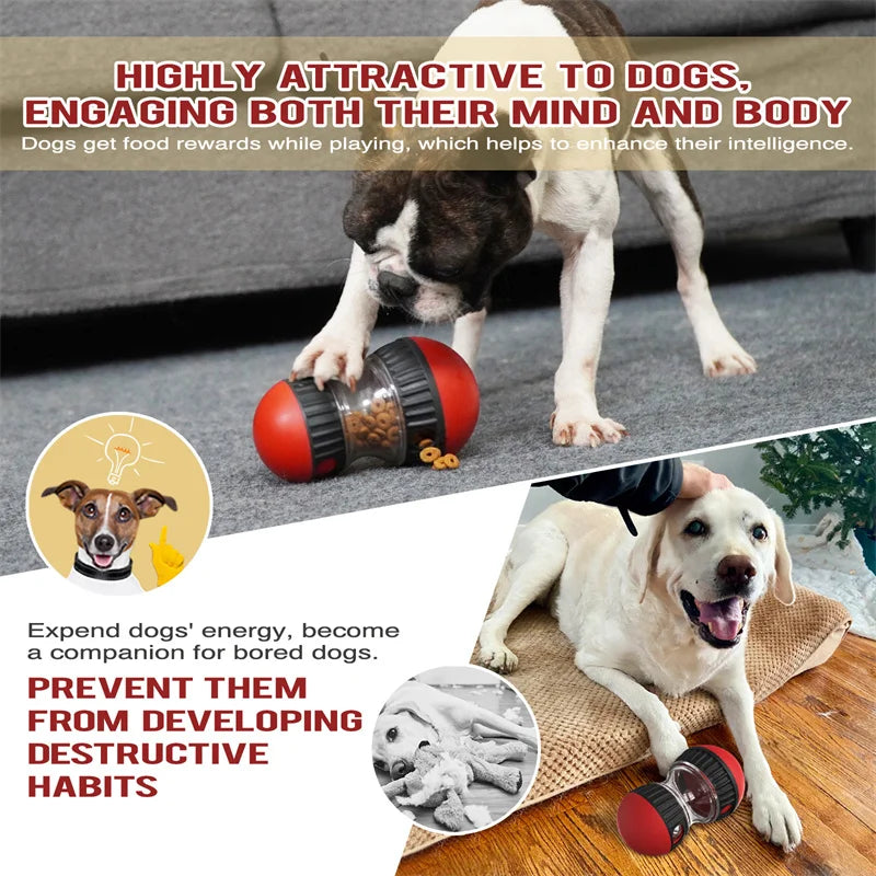 IQ Improver Dog Toy