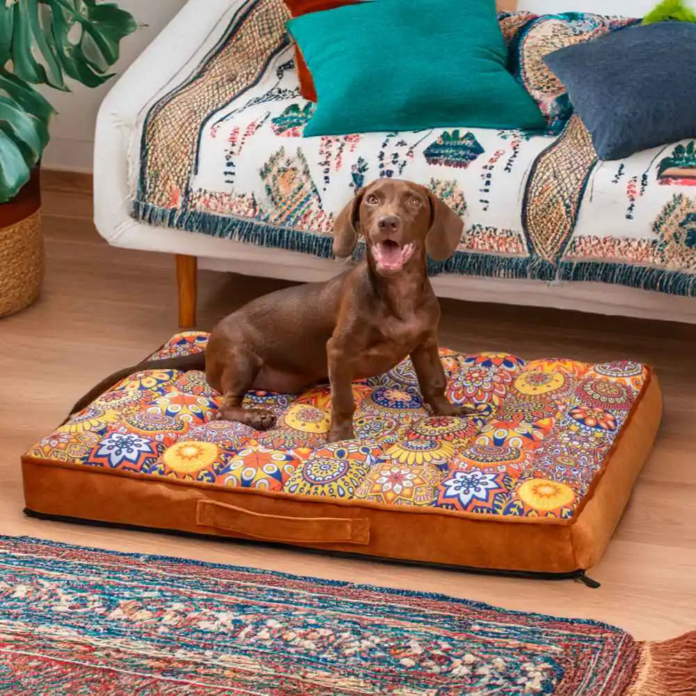 Orthopedic Dog Bed