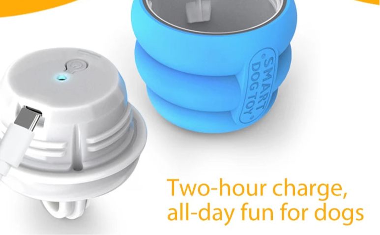 Interactive Dog Toy Ball with Rope