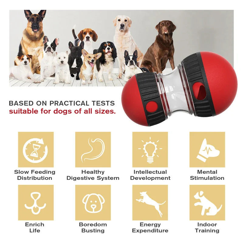 IQ Improver Dog Toy