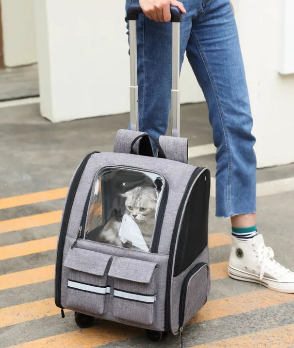 Portable Cat Carrier