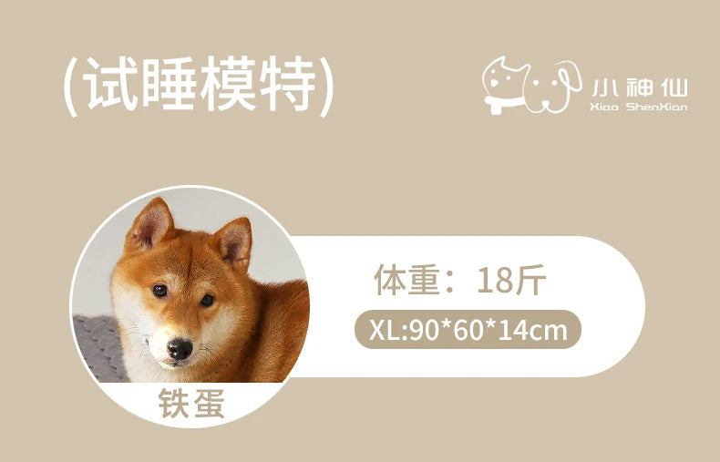 Orthopedic Memory Foam Dog Bed