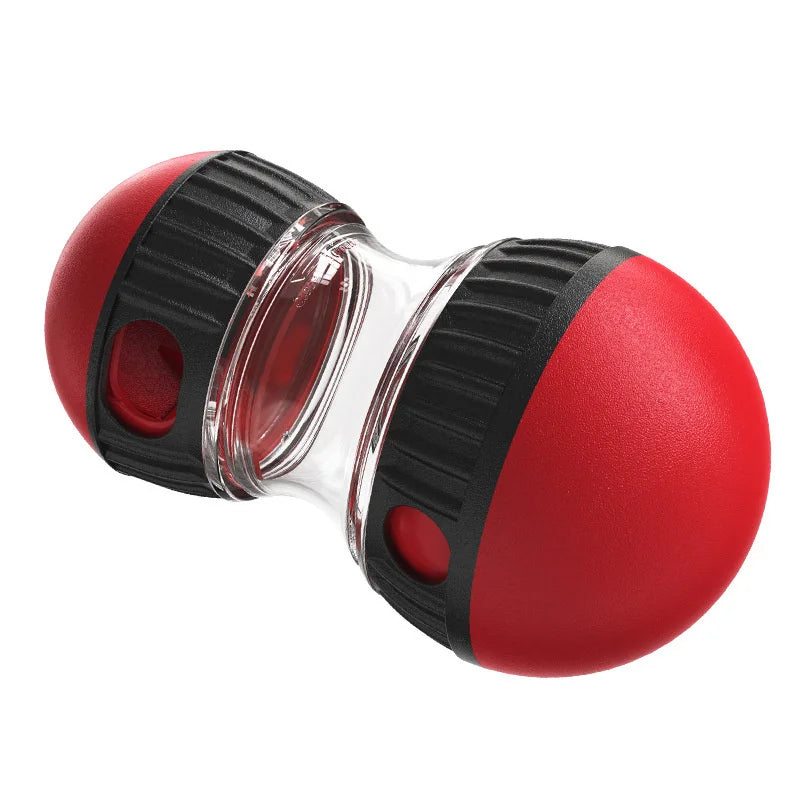 IQ Improver Dog Toy