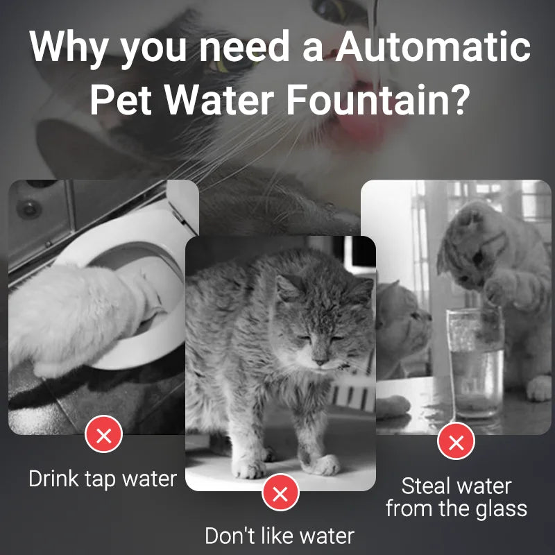 Smart Cat Water Fountain with filters