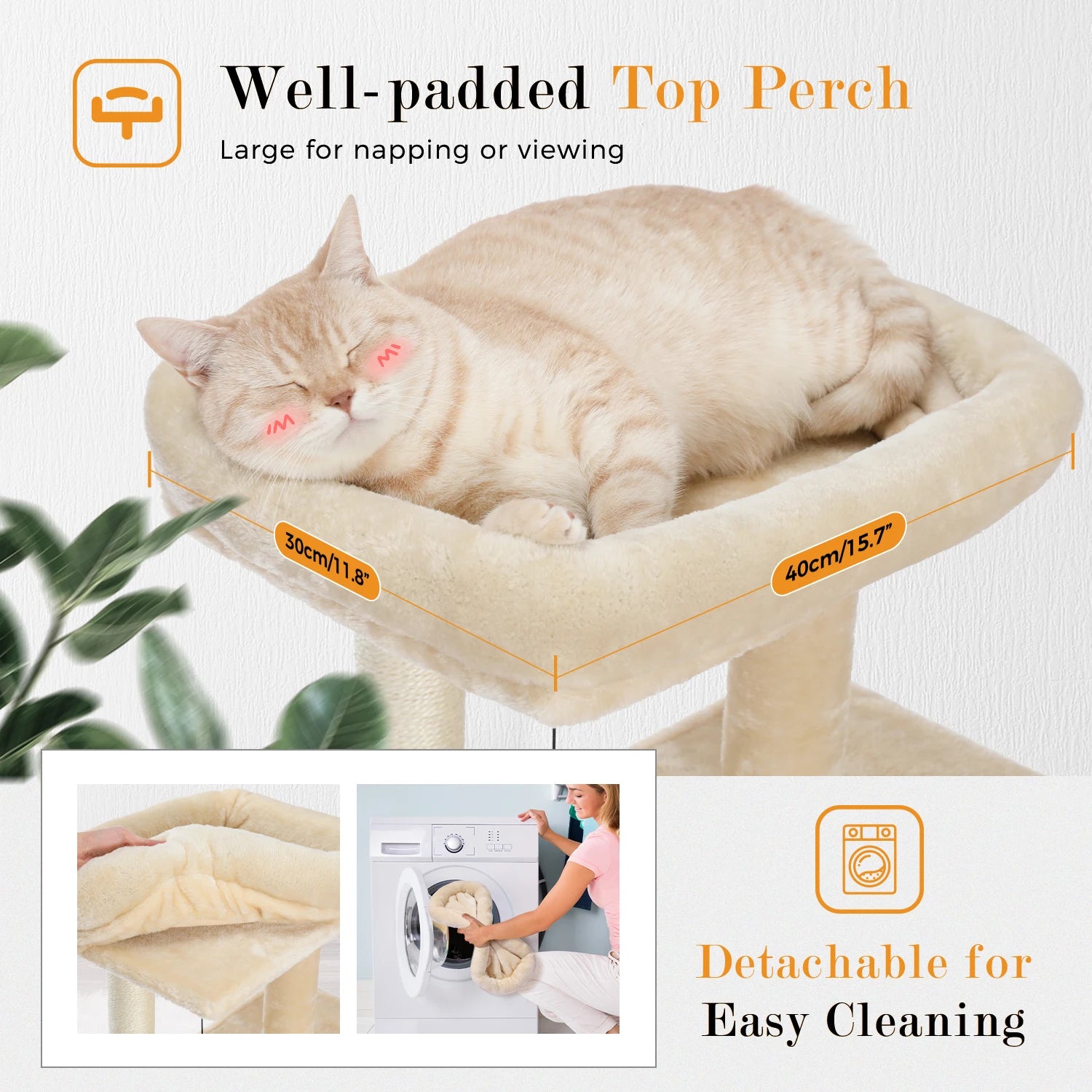 Large Multi-Level Cat Tree