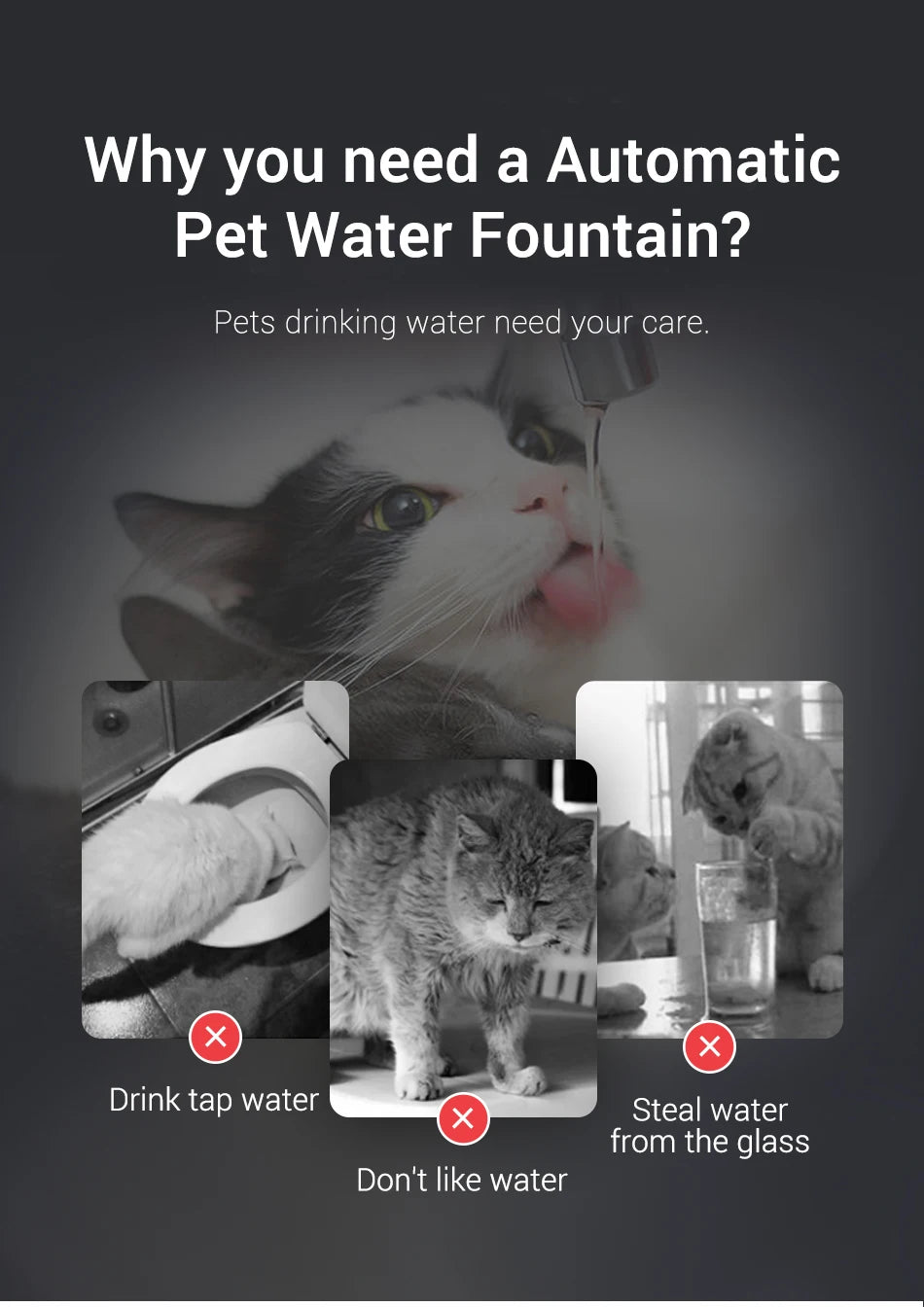 Smart Cat Water Fountain with filters