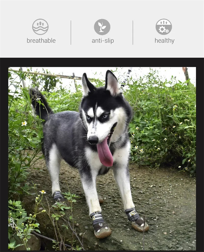Chaussures respirantes pour chien