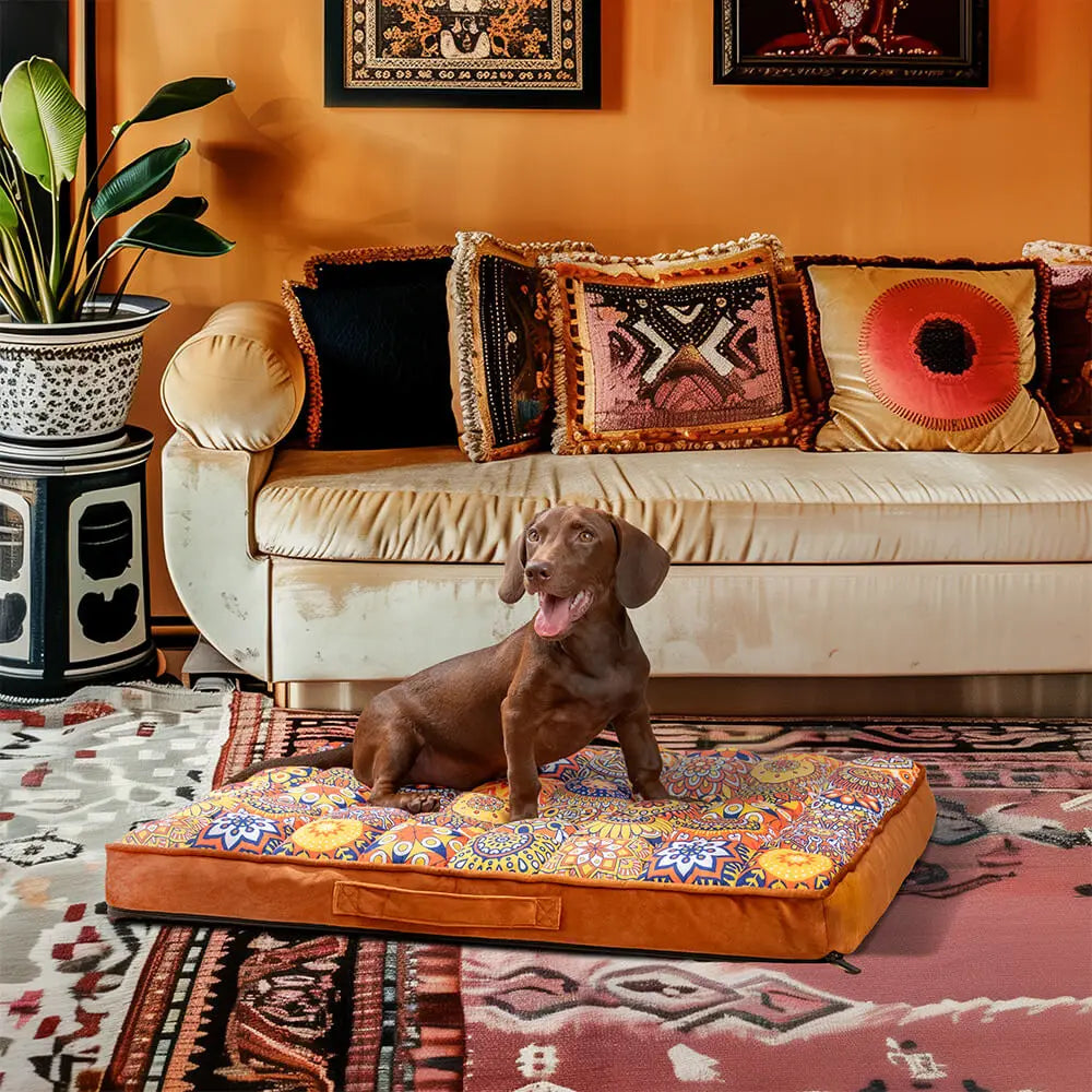 Orthopedic Dog Bed
