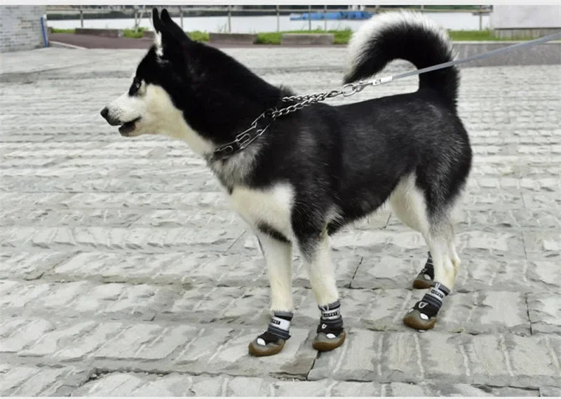 Chaussures respirantes pour chien