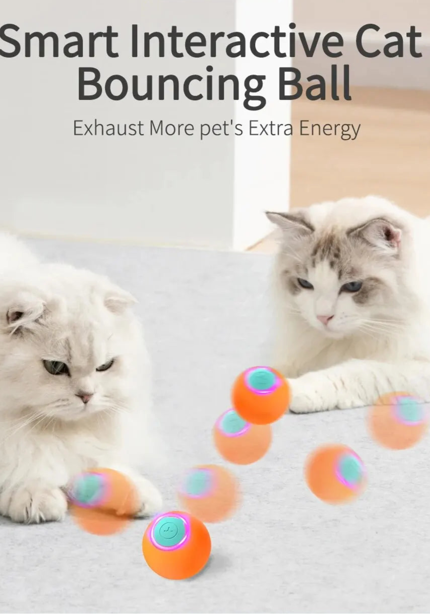 Electric Cat Ball toy