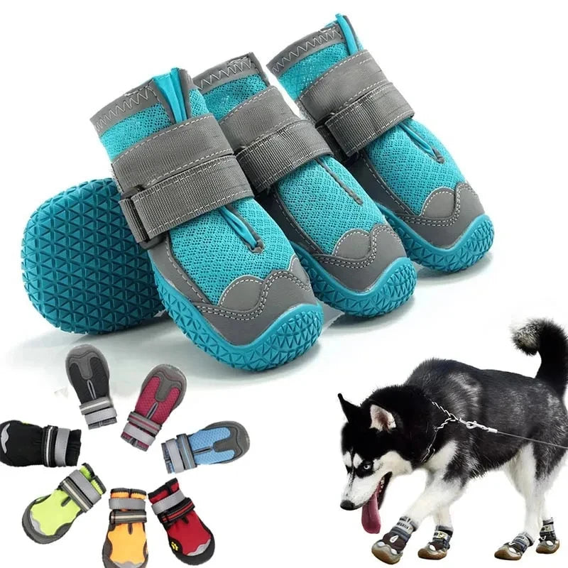 Chaussures respirantes pour chien