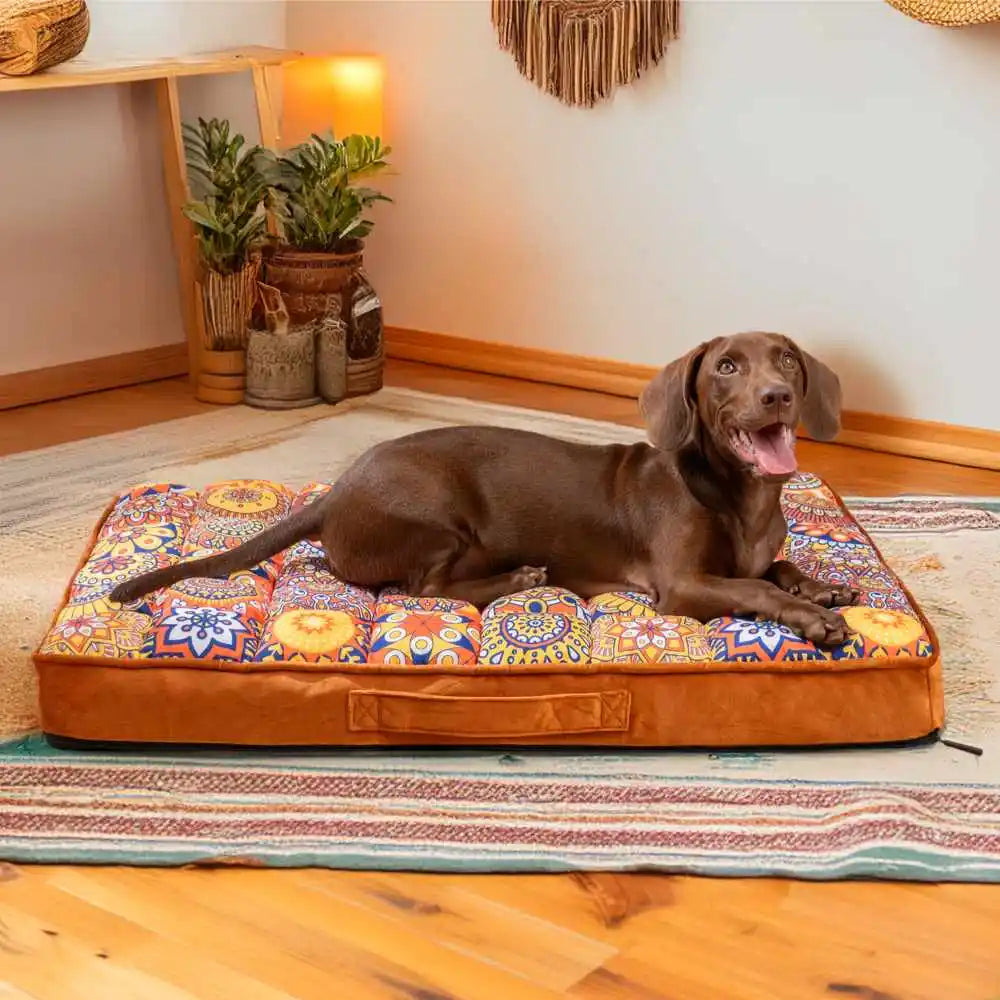 Orthopedic Dog Bed