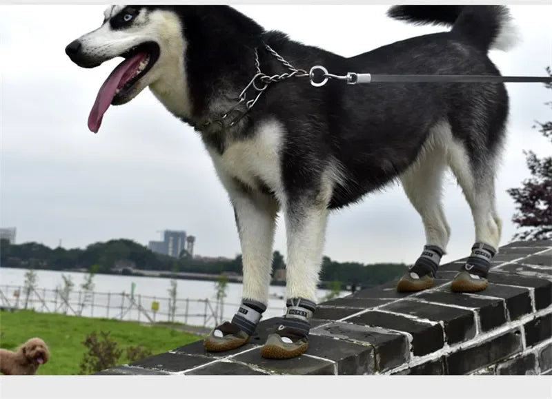 Chaussures respirantes pour chien
