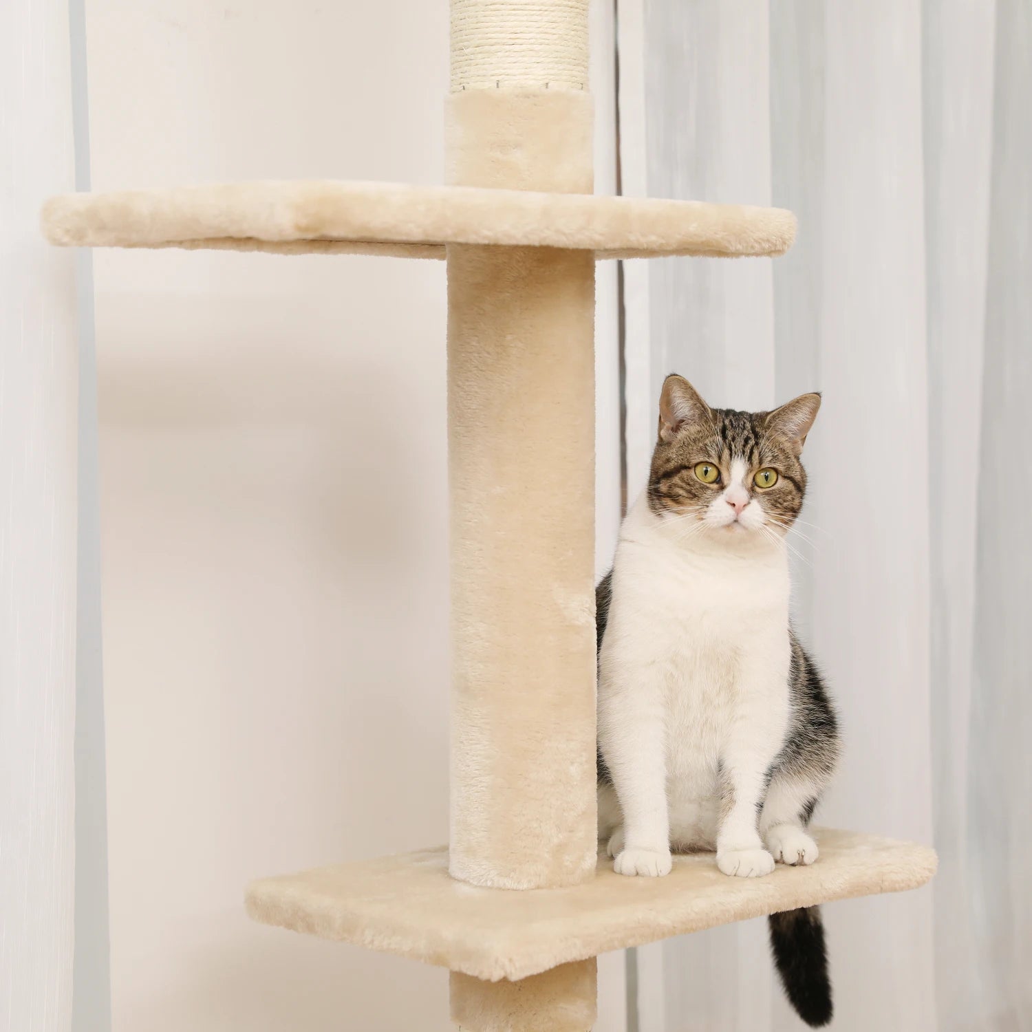 5-Tier Cactus Cat Tree