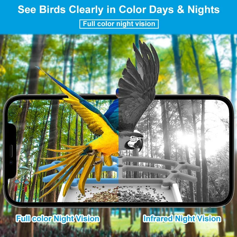Outdoor Bird Feeder with camera