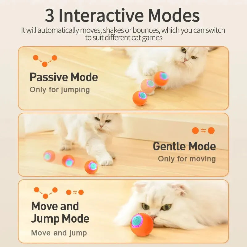 Electric Cat Ball toy