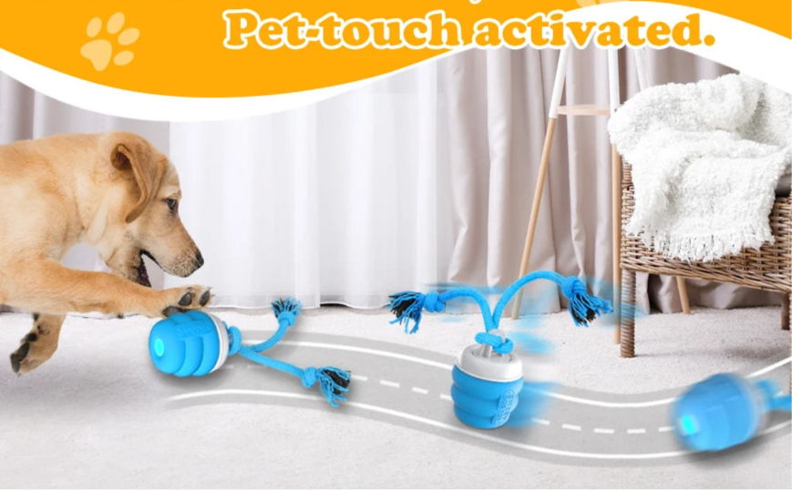 Interactive Dog Toy Ball with Rope