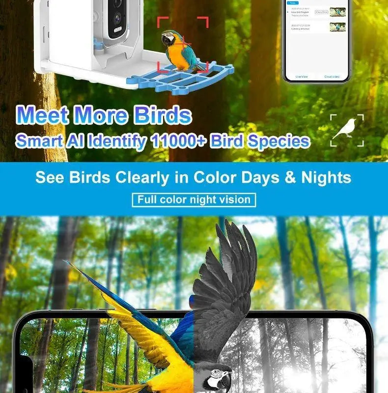Outdoor Bird Feeder with camera