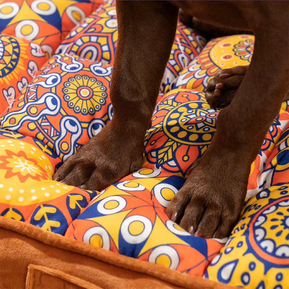 Orthopedic Dog Bed
