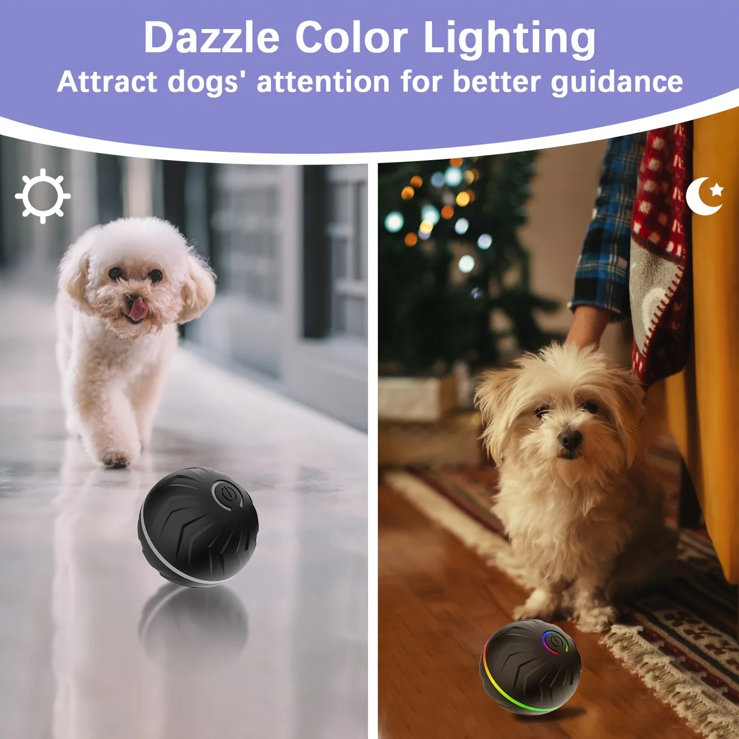 Dog Bouncing Ball