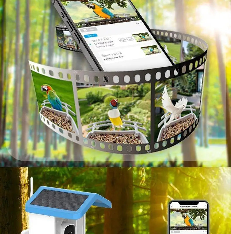 Outdoor Bird Feeder with camera