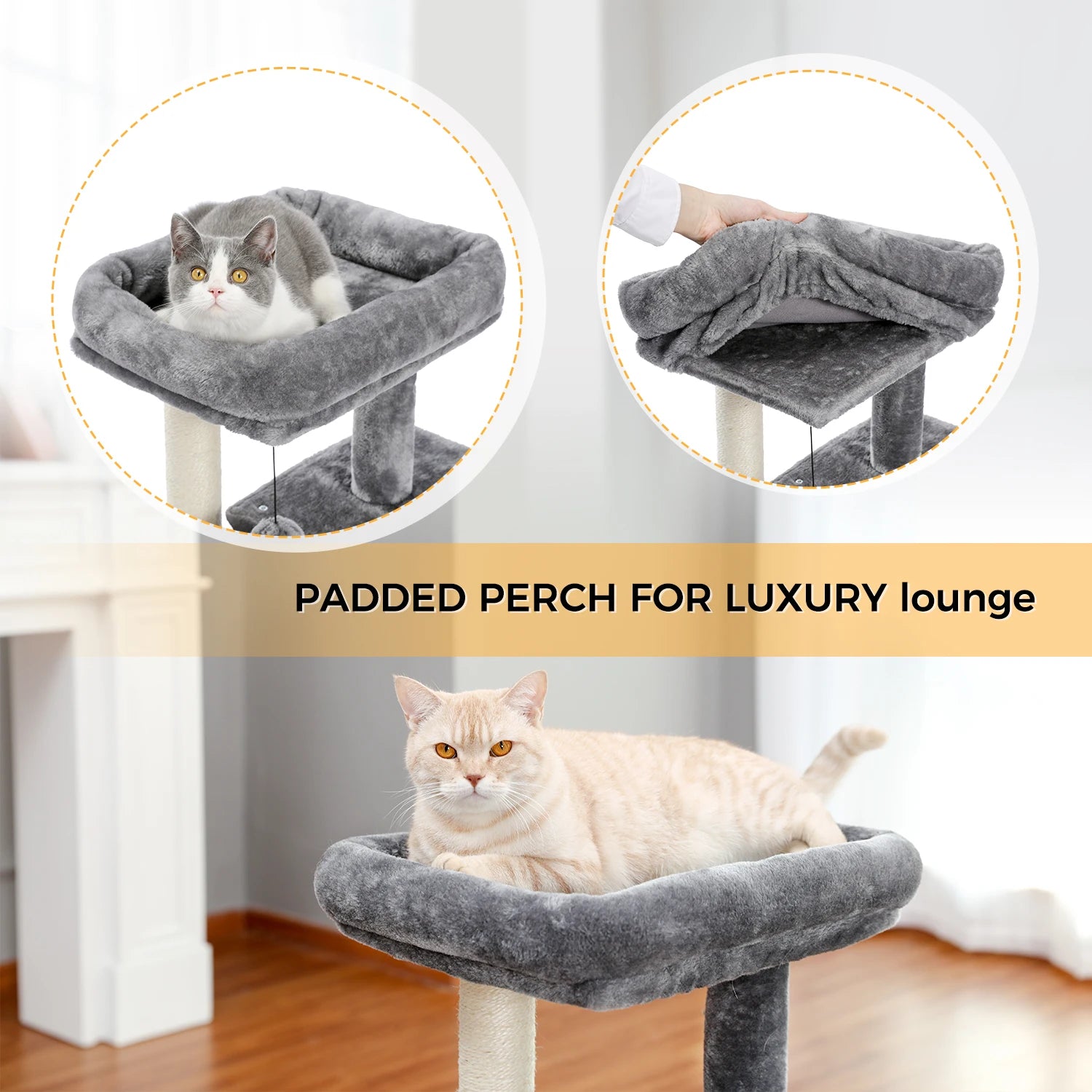 Large Multi-Level Cat Tree