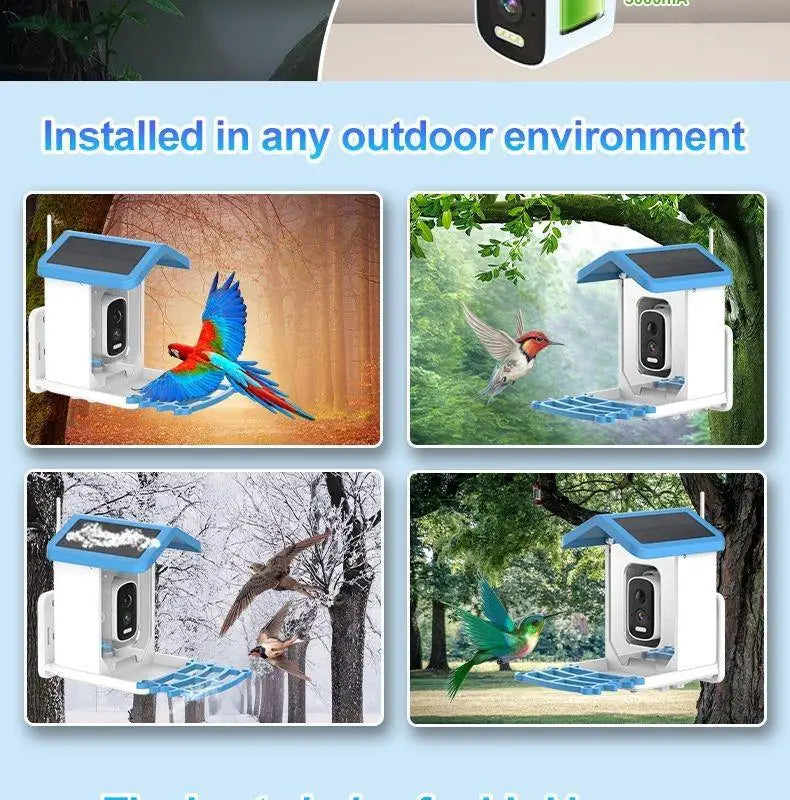 Outdoor Bird Feeder with camera