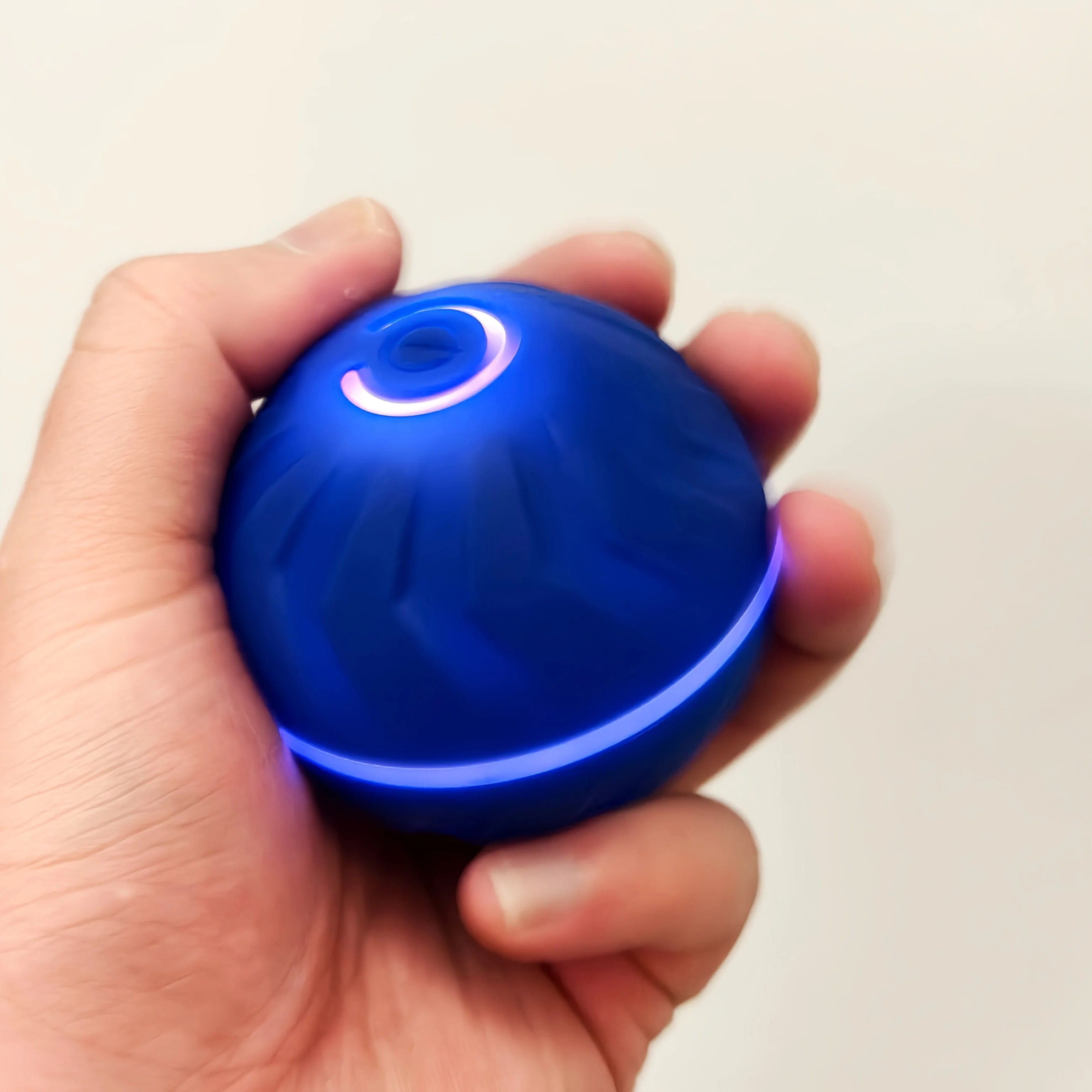 Dog Bouncing Ball