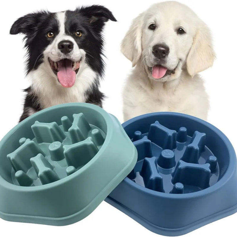 Slow Feeder Dog Bowl