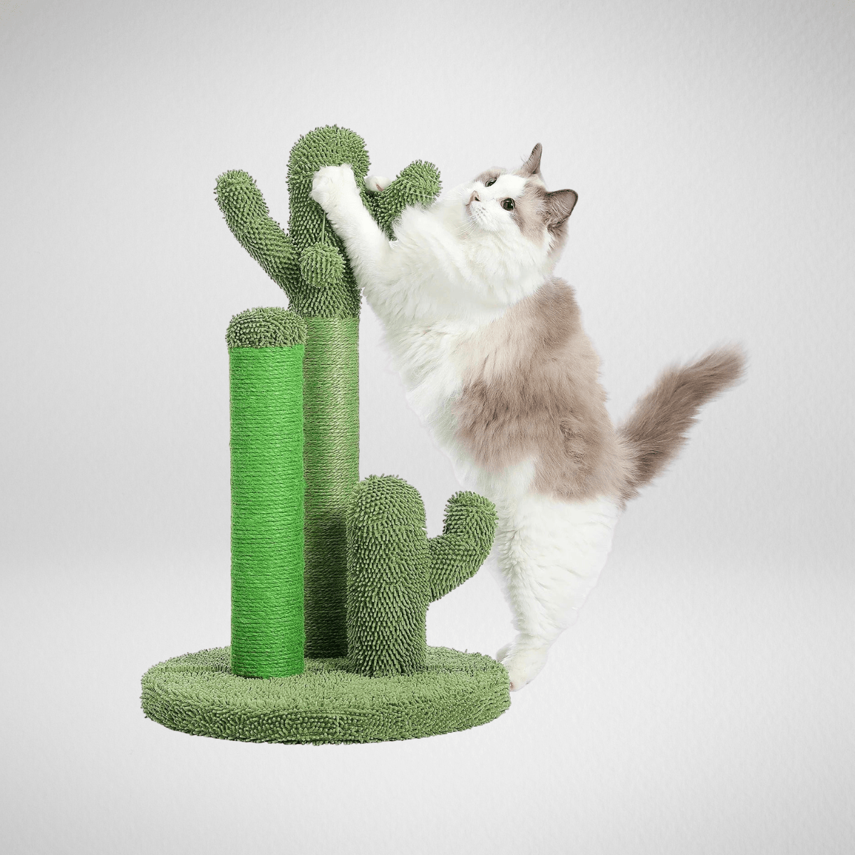 TechnuPet Cactus Cat Scratching Post