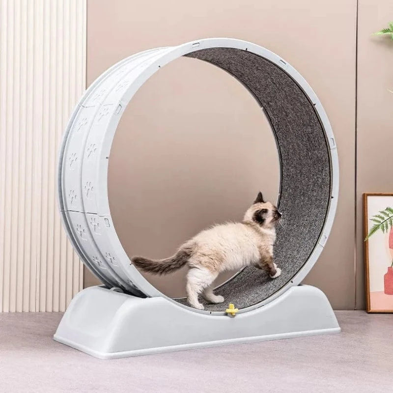 TechnuPet Cat Toys Cat Treadmill