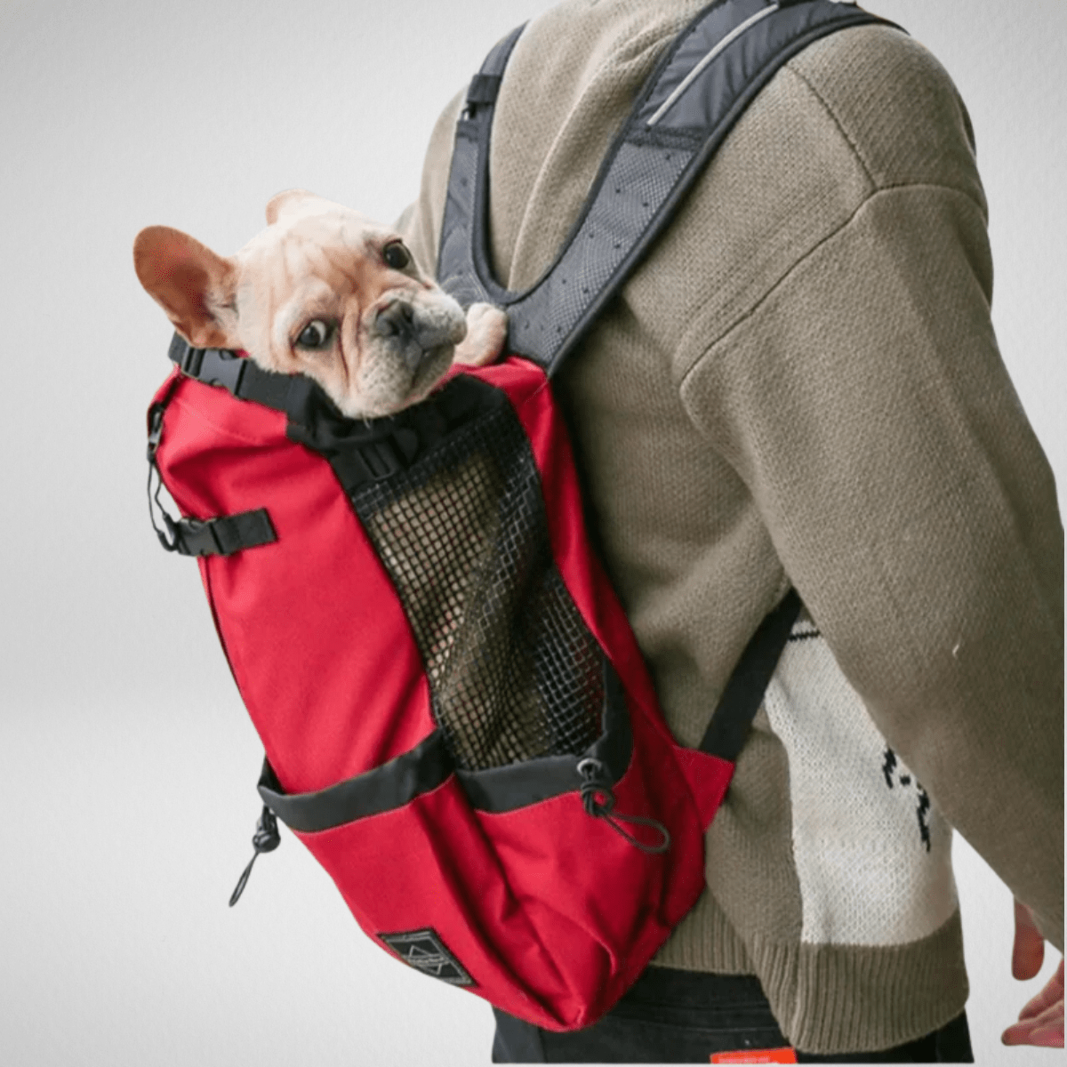 TechnuPet Pet Backpack Dog Carrier Backpack