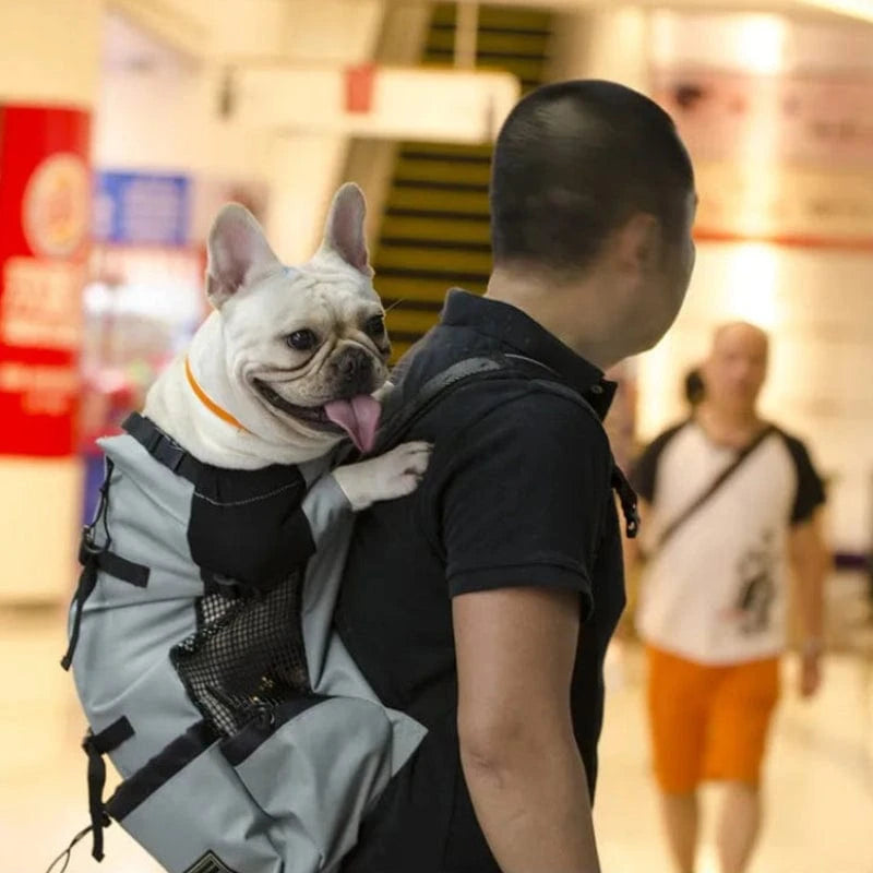 TechnuPet Pet Backpack Dog Carrier Backpack