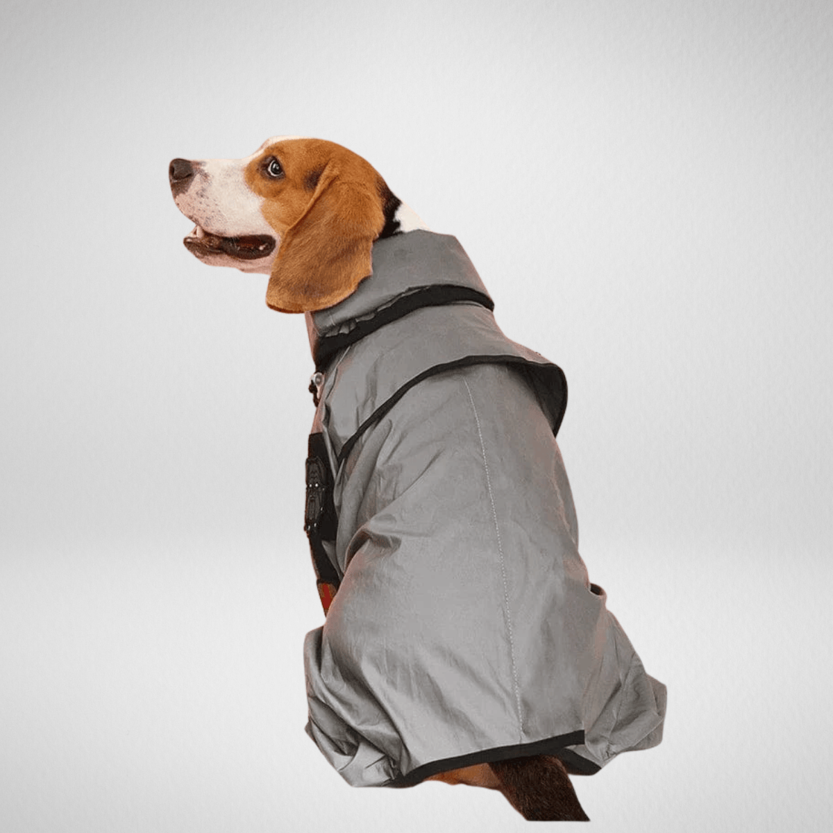 TechnuPet Large Dog Raincoat